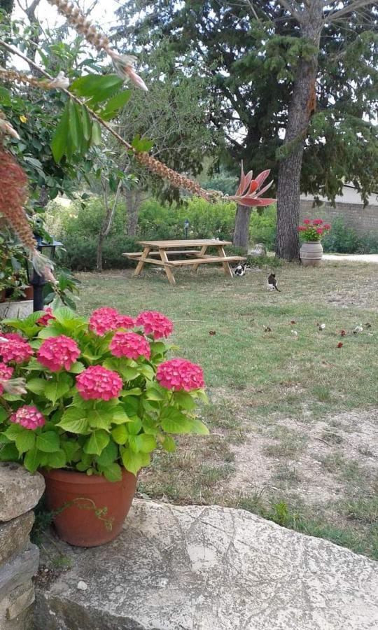 Ferienwohnung Monolocale Stiacce Saturnia Exterior foto
