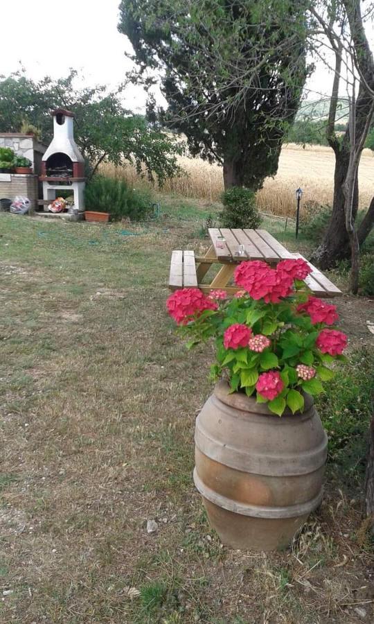 Ferienwohnung Monolocale Stiacce Saturnia Exterior foto